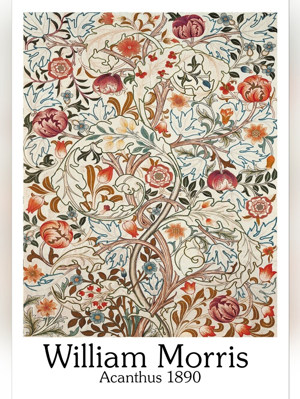 Acanthus 1890 Floral Wall Art Print - Cream, Red, Blue, Brown 16x20